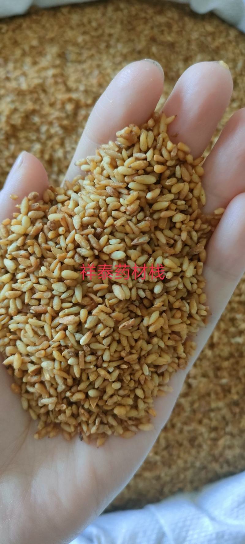 《热销》柏子仁（祥泰药材栈）中药材批发零售量多从优