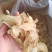 无硫天麻天麻片地道药材产地货源品质保证