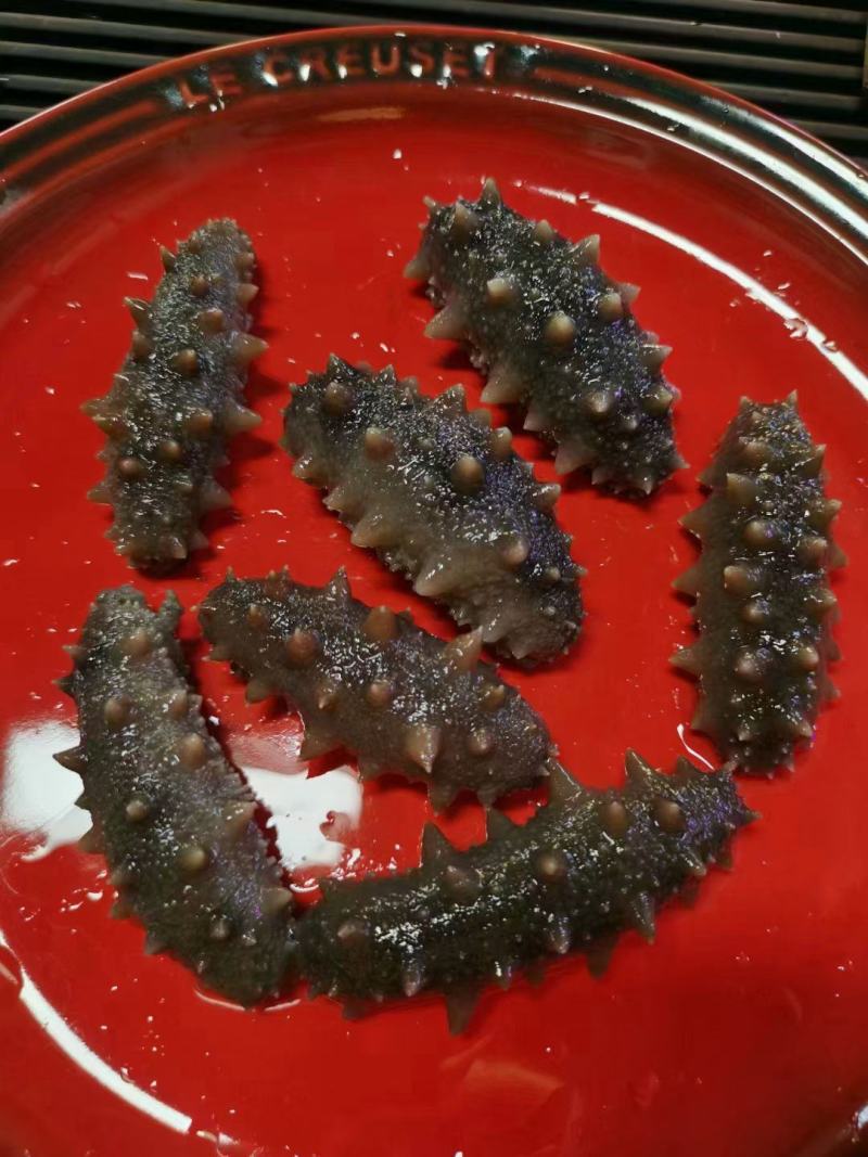 大连小头海参处理尾货