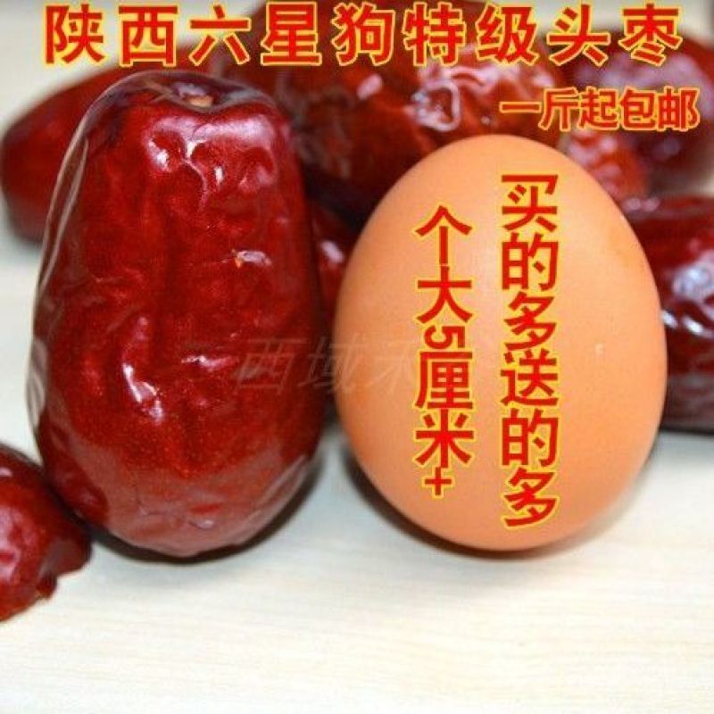 【产地直发】陕西狗头枣大陕北延安大红枣大号新鲜大枣