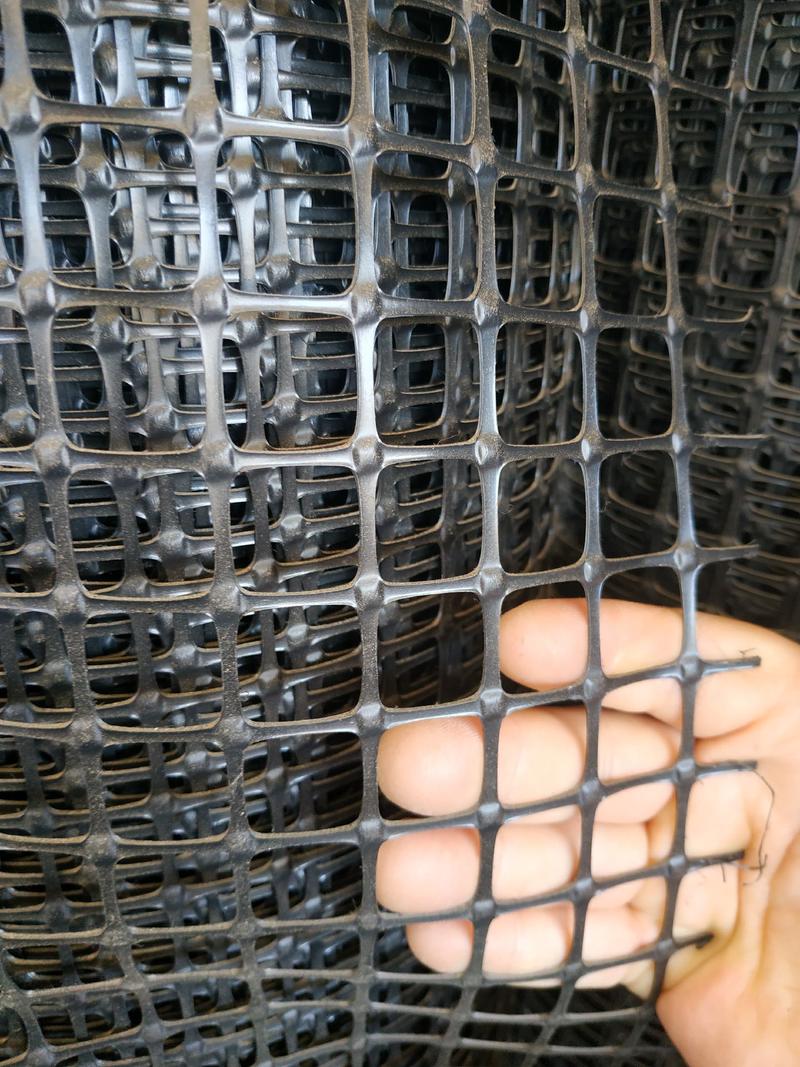 2厘米孔塑料围栏网圈地拦鸡防护网鸡鸭鹅漏粪网苗床网