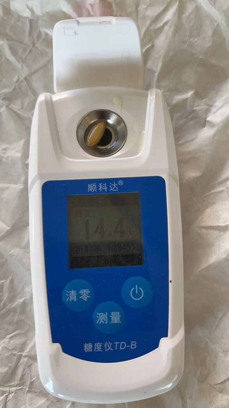 玉菇甜瓜