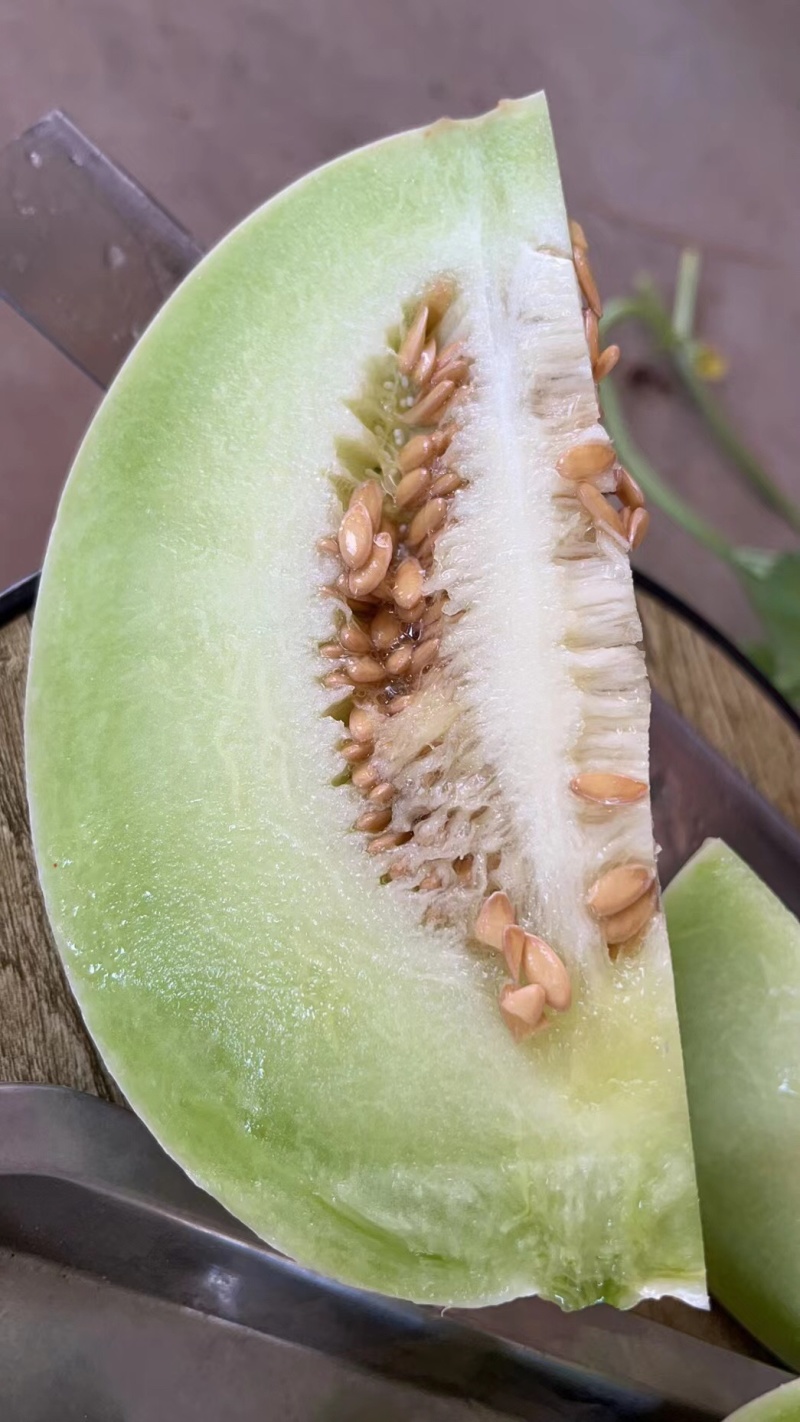 玉菇甜瓜