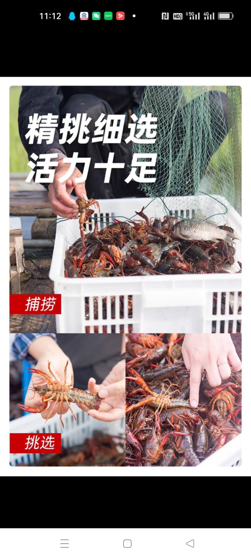 马鞍山市博望清水小龙虾