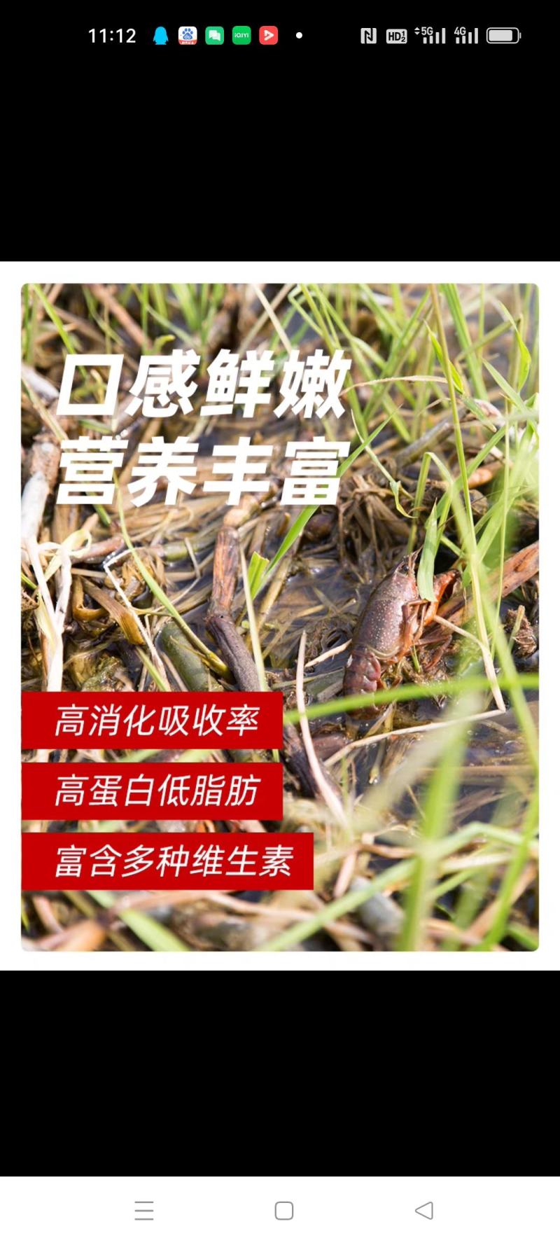 马鞍山市博望清水小龙虾