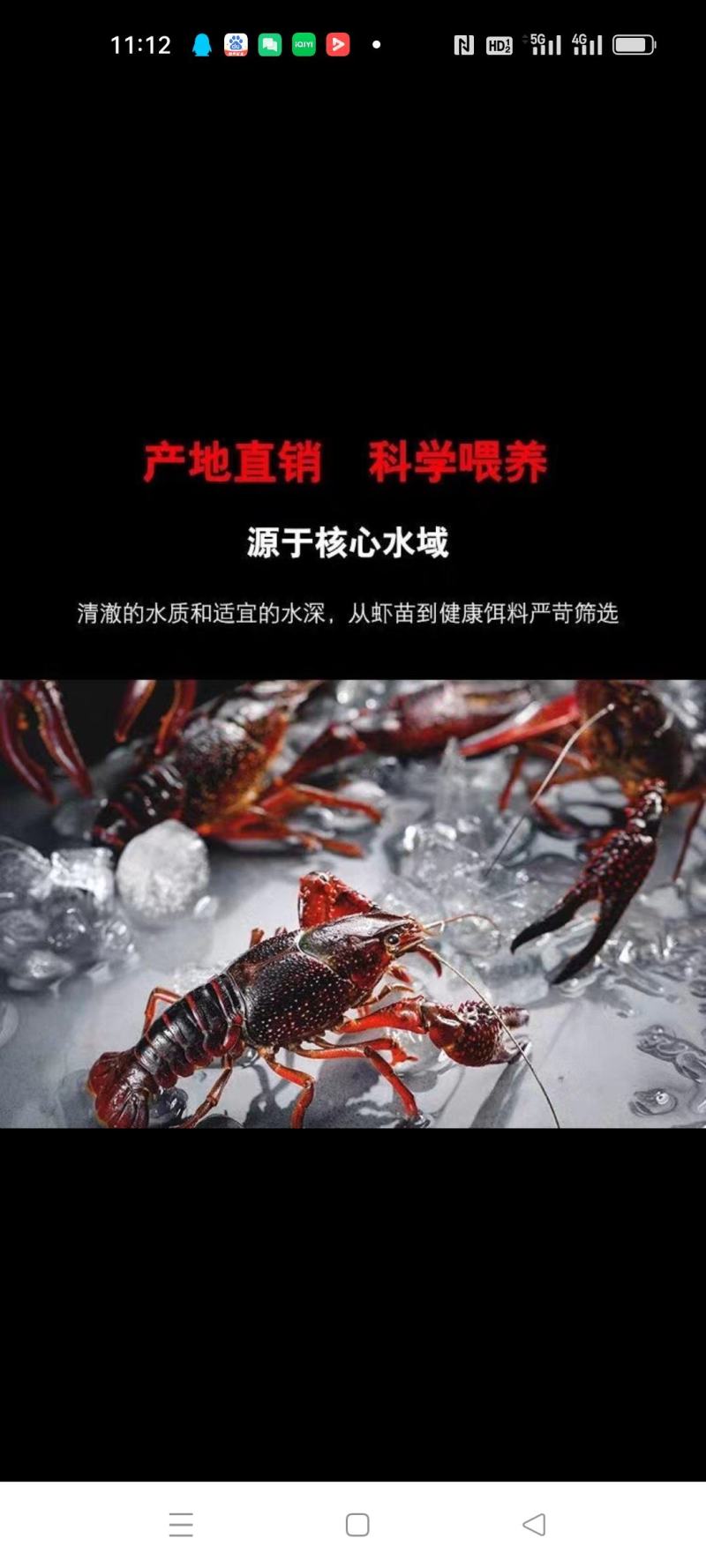 马鞍山市博望清水小龙虾