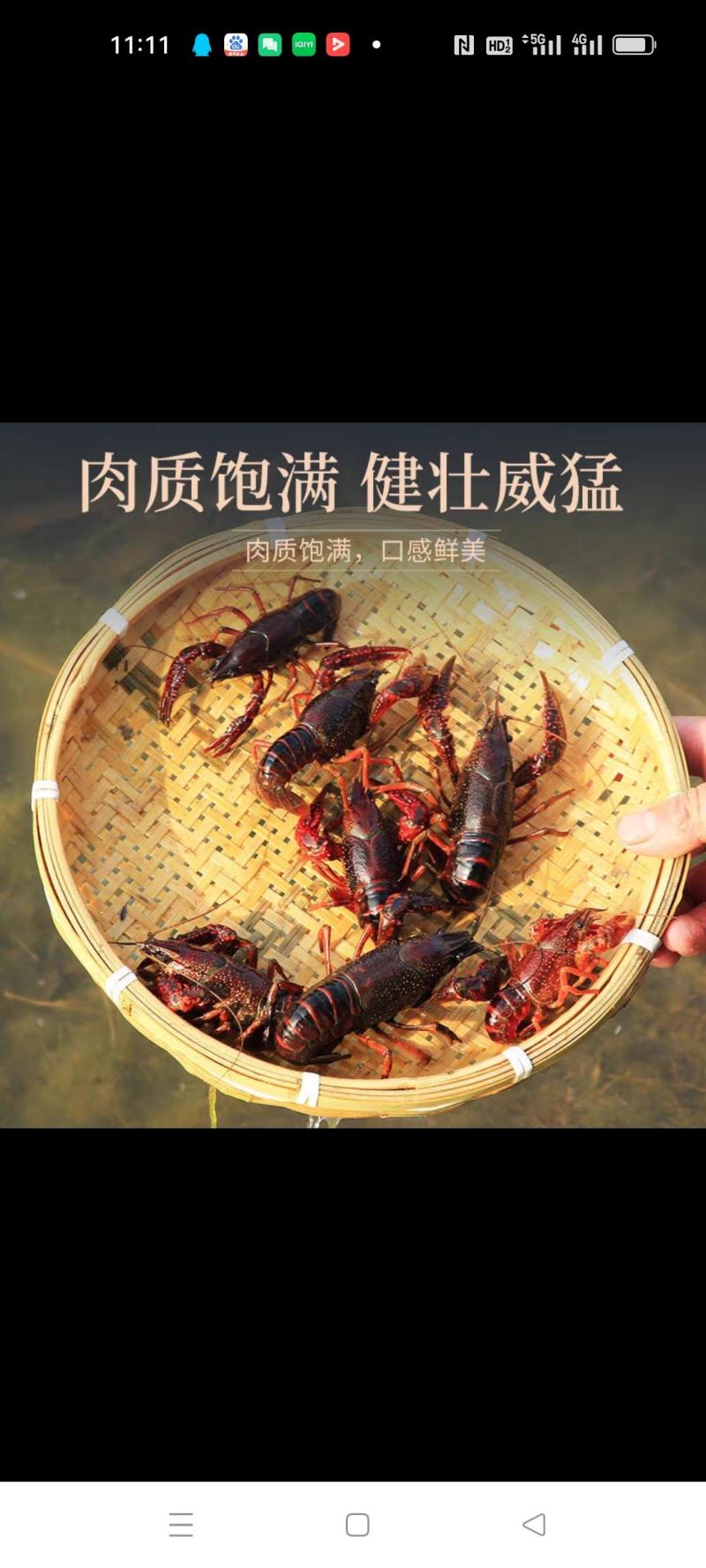 马鞍山市博望清水小龙虾