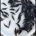 优质鳜鱼苗