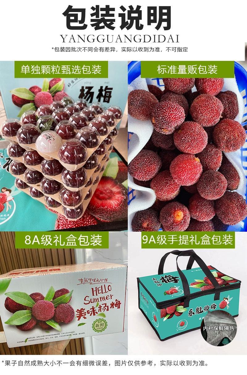 东魁杨梅