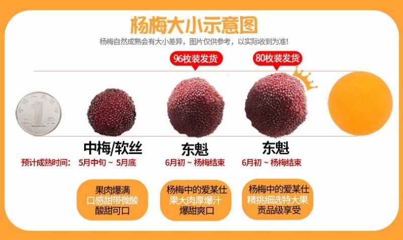 东魁杨梅
