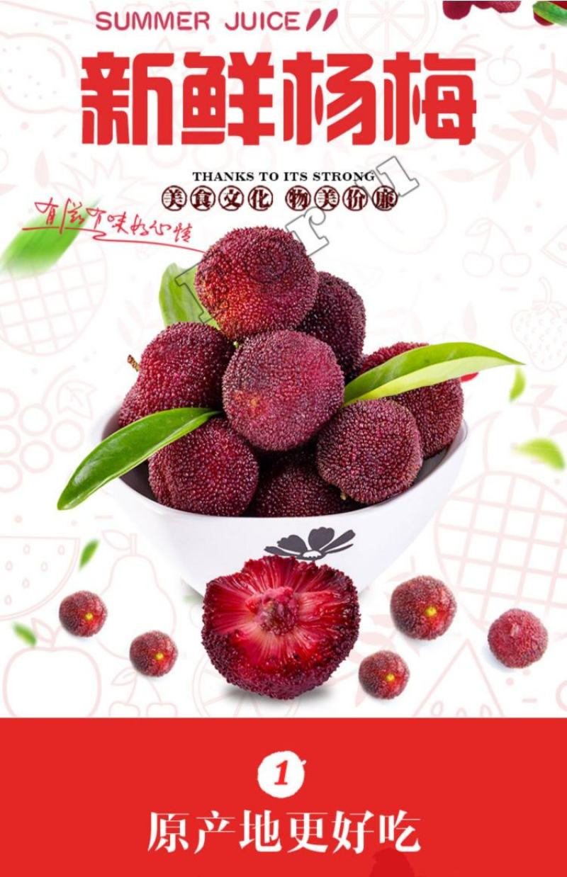东魁杨梅