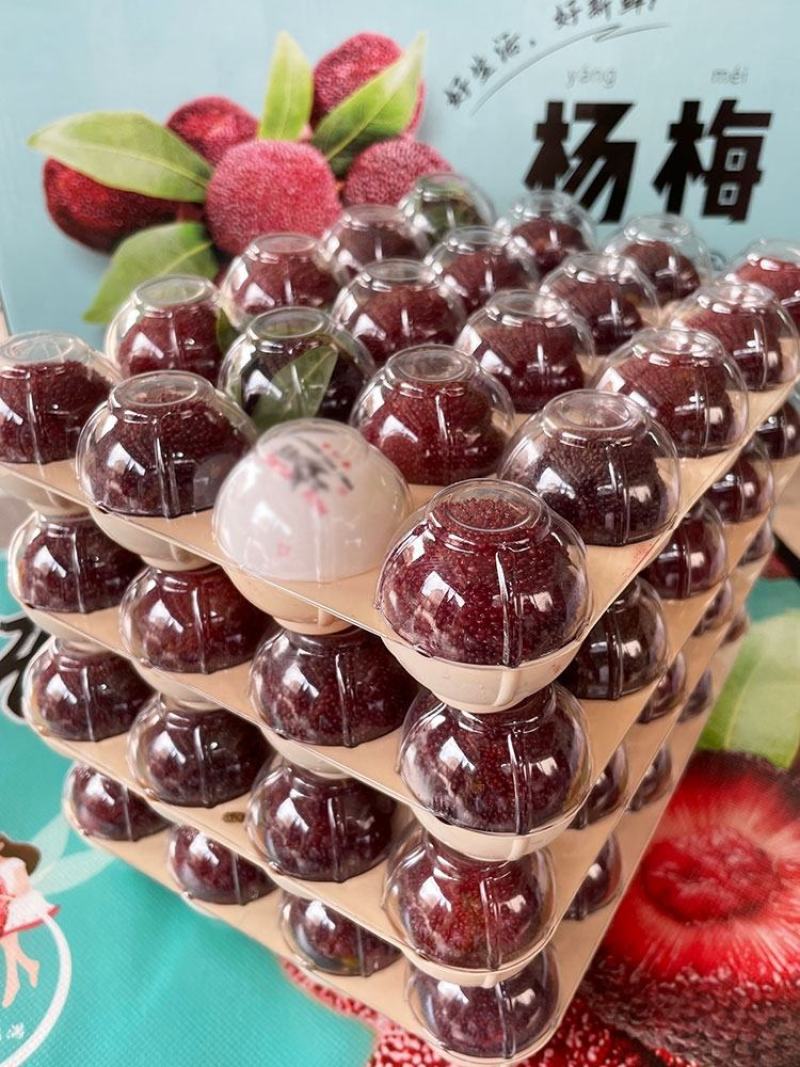 东魁杨梅
