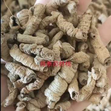 《热销》巴戟天（祥泰药材栈）中药材批发零售量多从优直营