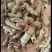 《热销》巴戟天（祥泰药材栈）中药材批发零售量多从优直营