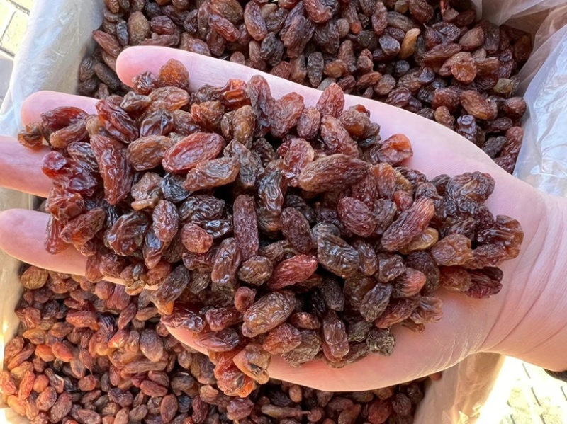 新疆葡萄干红干红提子干红葡萄干免洗红干食品添加月饼馅料