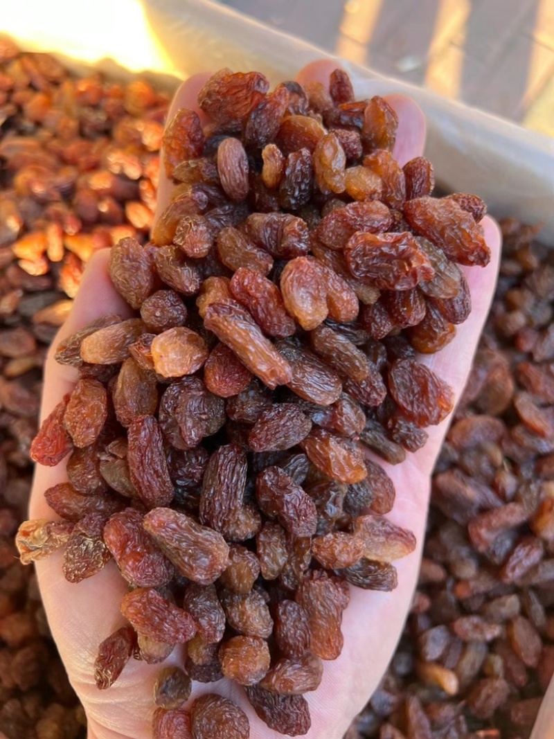 新疆葡萄干红干红提子干红葡萄干免洗红干食品添加月饼馅料