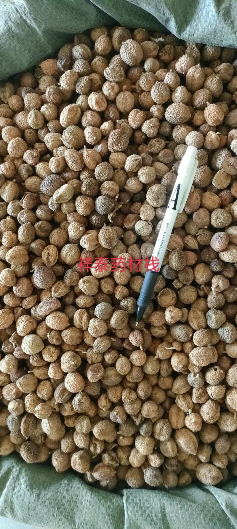 《热销》阳春砂仁（祥泰药材栈）保证质量中药材批发零售