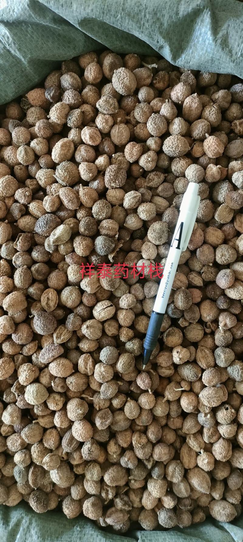 《热销》阳春砂仁（祥泰药材栈）保证质量中药材批发零售