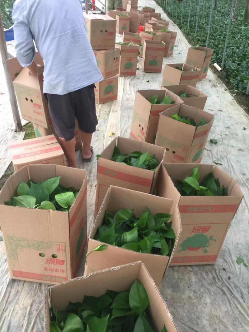 基地直发精品360