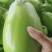 我们经营青茄子大量上市