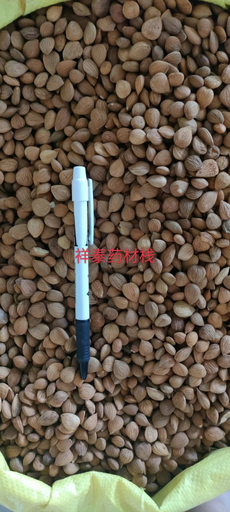 《热销》苦杏仁（祥泰药材栈）中药材批发零售量多从优