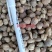 《热销》白豆蔻白蔻祥泰药材栈实物拍摄量多从优欢迎咨询