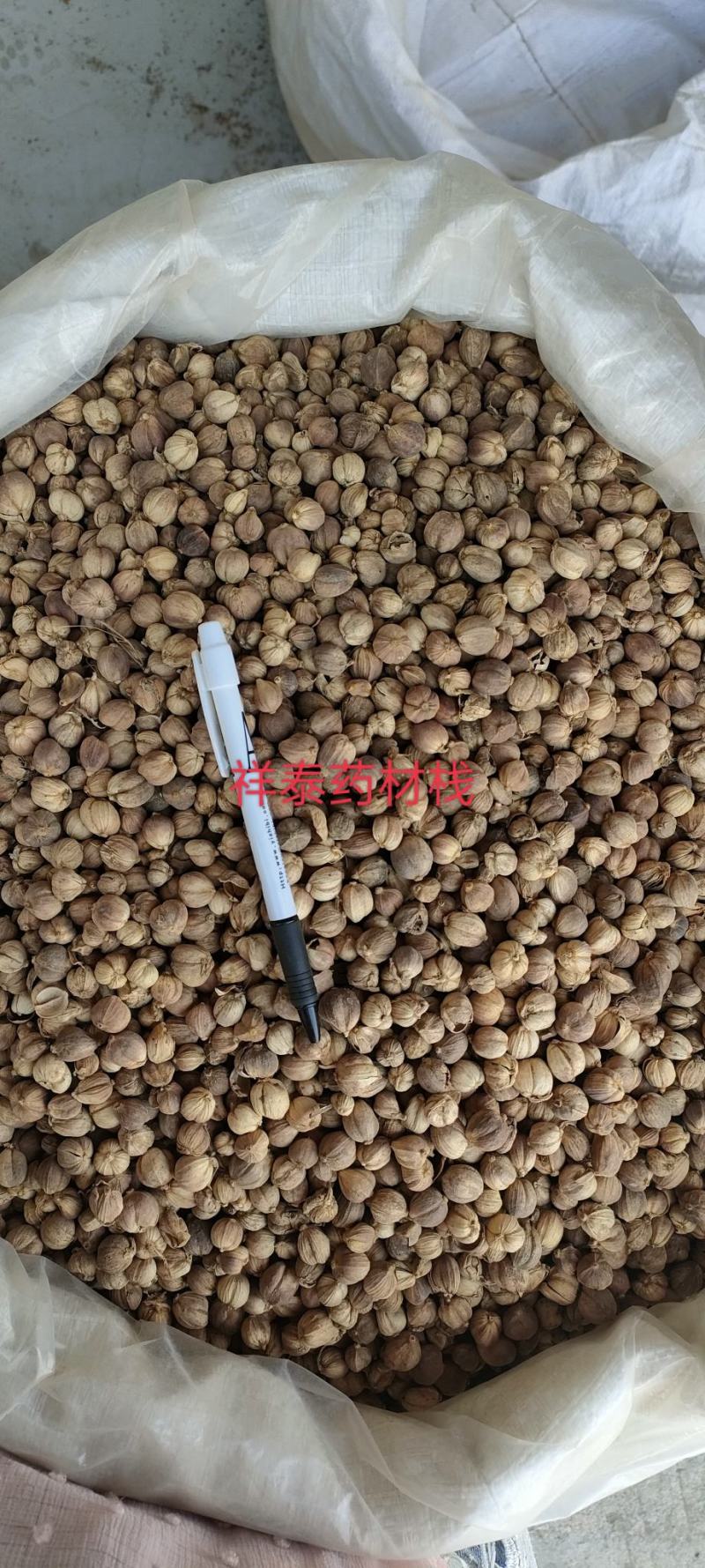 《热销》白豆蔻白蔻祥泰药材栈实物拍摄量多从优欢迎咨询