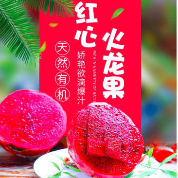 广东精品火龙果，，一手货源，诚信合作，欢迎各位前来选购！
