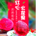 广东精品火龙果，，一手货源，诚信合作，欢迎各位前来选购！