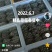 沽源县差季节蘑菇上市中