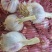 江苏丰县优质川蒜，香蒜，正月早，二水早蒜