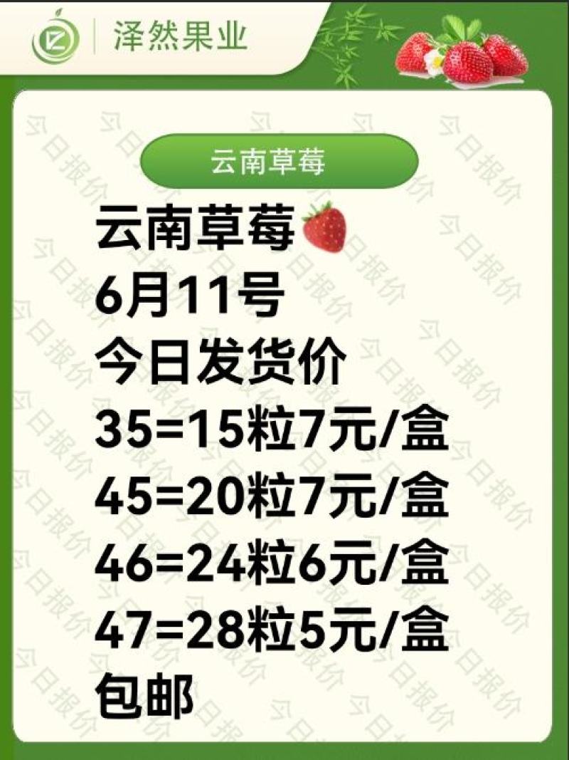 云南蒙特瑞夏草莓