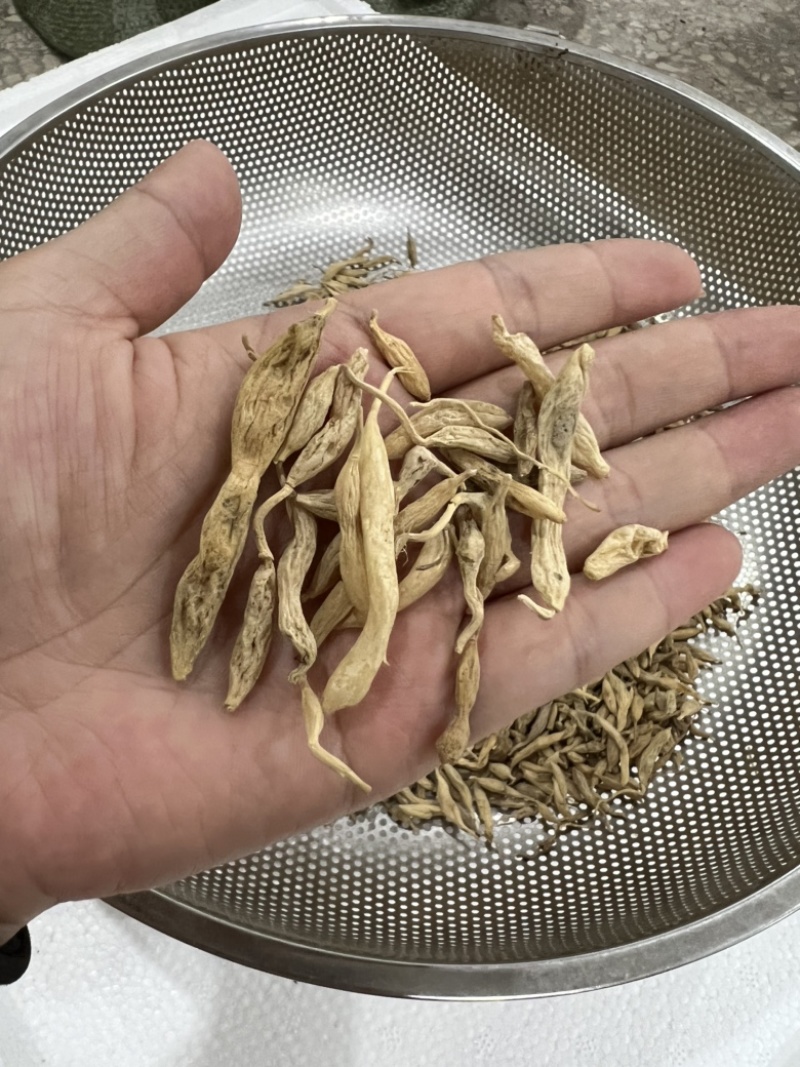 野麦冬农家自晒干货无硫熏野麦冬选货包邮