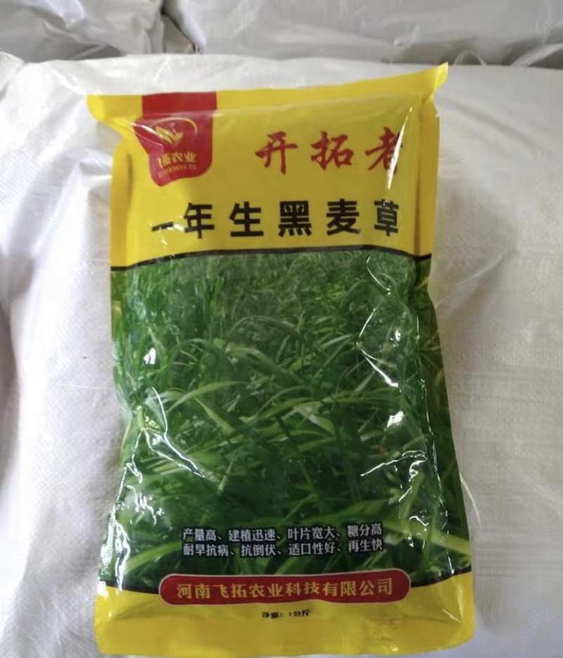 一年生黑麦草耐寒，高产，适口性好，猪牛羊鸡鸭鹅鱼兔马均可