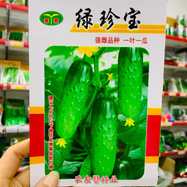 强雌品种一叶一瓜绿珍宝水果黄瓜种子抗病节节有瓜清香细腻