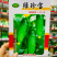 强雌品种一叶一瓜绿珍宝水果黄瓜种子抗病节节有瓜清香细腻