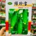 强雌品种一叶一瓜绿珍宝水果黄瓜种子抗病节节有瓜清香细腻