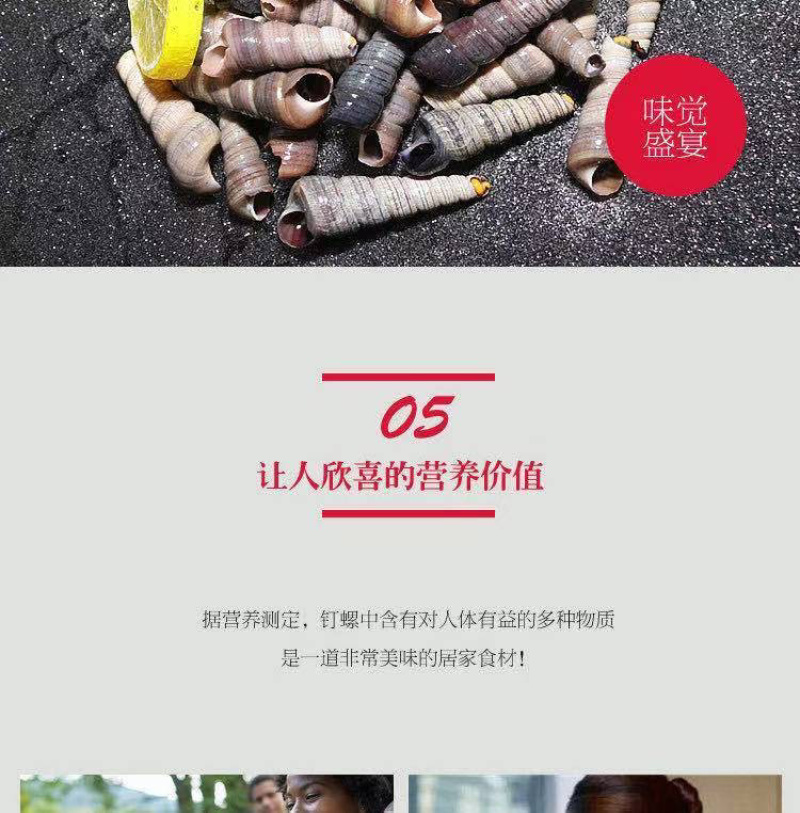 新鲜钉螺鲜活海螺丝贝类海鲜海锥长尾螺去头去尾海鲜批发