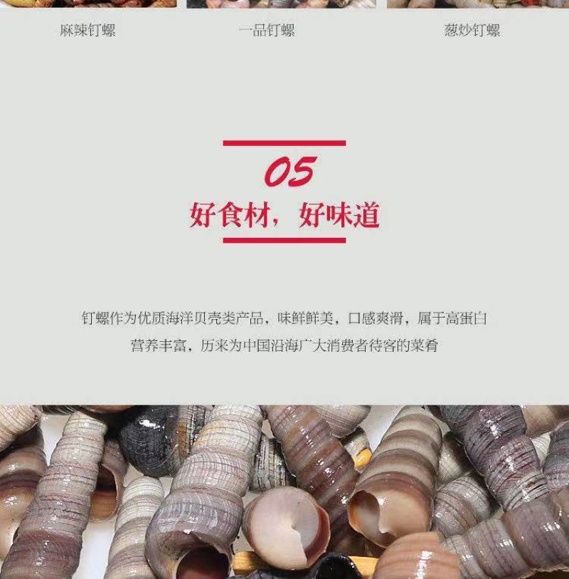 新鲜钉螺鲜活海螺丝贝类海鲜海锥长尾螺去头去尾海鲜批发