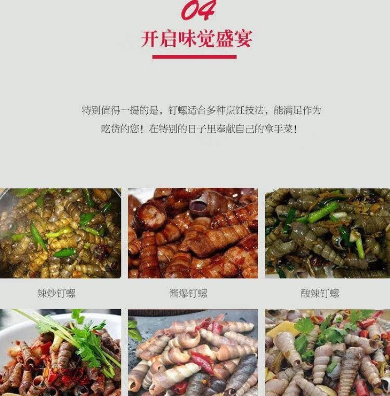 新鲜钉螺鲜活海螺丝贝类海鲜海锥长尾螺去头去尾海鲜批发