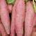 《基地精选》西瓜红蜜薯大量供应，供应商超、电商、市场