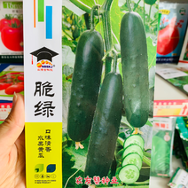 深绿色水果黄瓜种子，耐热高产块病清香脆甜好吃黄瓜品种
