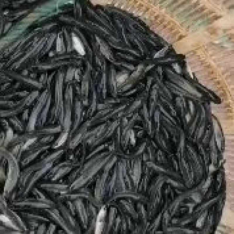 出售优质精品黑鱼苗，全国发货，送货上门免费指导养殖技术