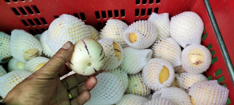 石林人参果