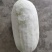 白冬瓜（新鲜白冬瓜现货）
