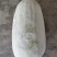 白冬瓜（新鲜白冬瓜现货）