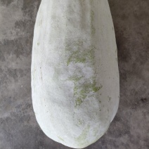 白冬瓜（新鲜白冬瓜现货）