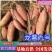【精品】龙薯九号产地直供价格便宜规格齐全一条龙服务