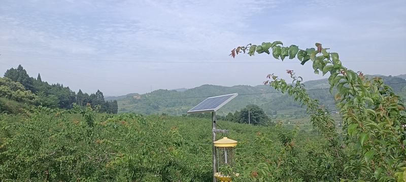 长弘李