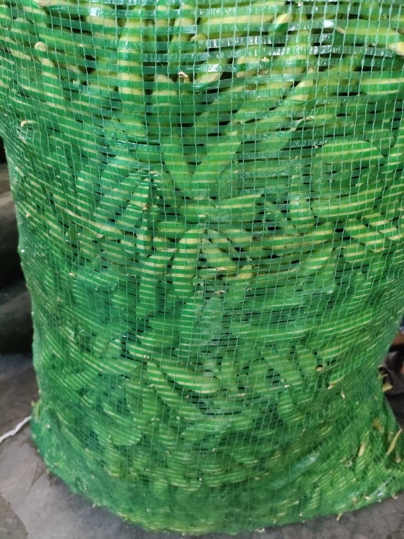 毛豆（新鲜毛豆现货供应）